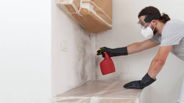 Professional Crawl Space Mold Removal technician working in Mitchells, VA