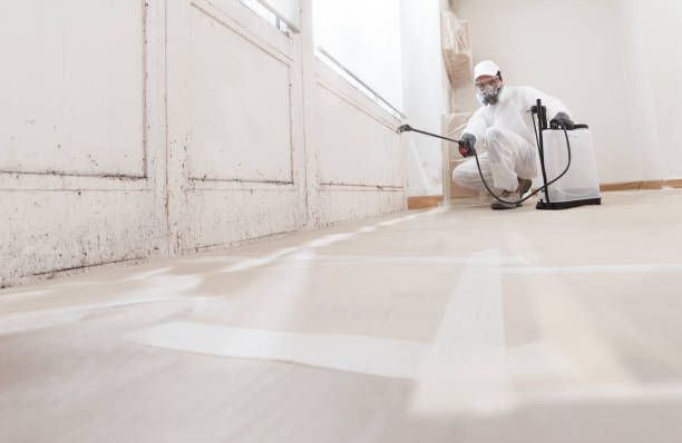 24/7 Emergency Crawl Space Mold Removal experts in Mitchells, VA