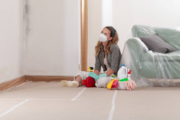 Reliable Crawl Space Mold Removal contractor in Mitchells, VA by WQB Mold Removal