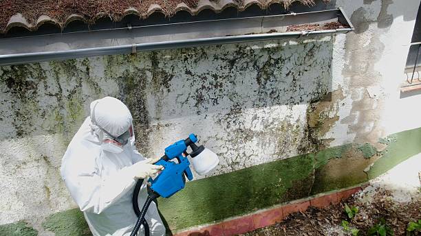 Top rated local Crawl Space Mold Removal specialists in Mitchells, VA